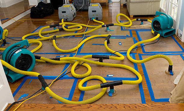 Professional Water Damage Restoration technician working in Brandon, FL